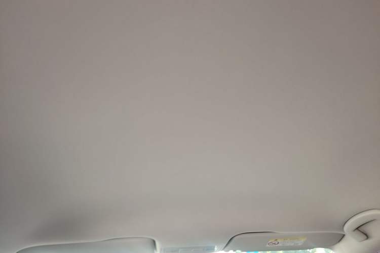 Used Volkswagen Bora 2019 Bora Legend 1.5L Manual Fashion Edition China VI Standard Headliner