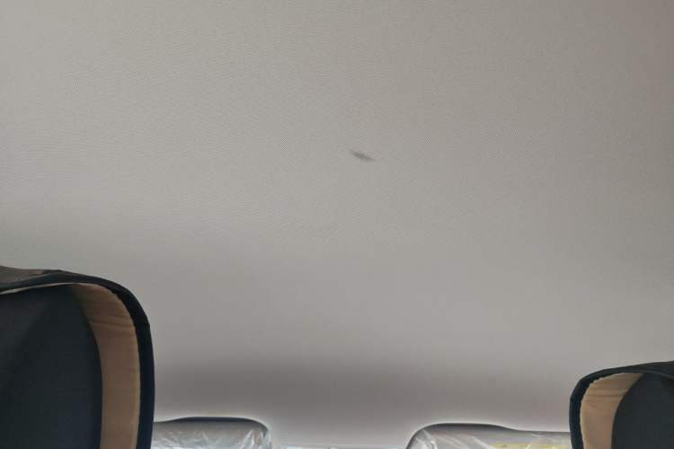 Used Volkswagen Bora 2019 Bora·Legend 1.5L Manual Fashion Edition China V Standard Headliner