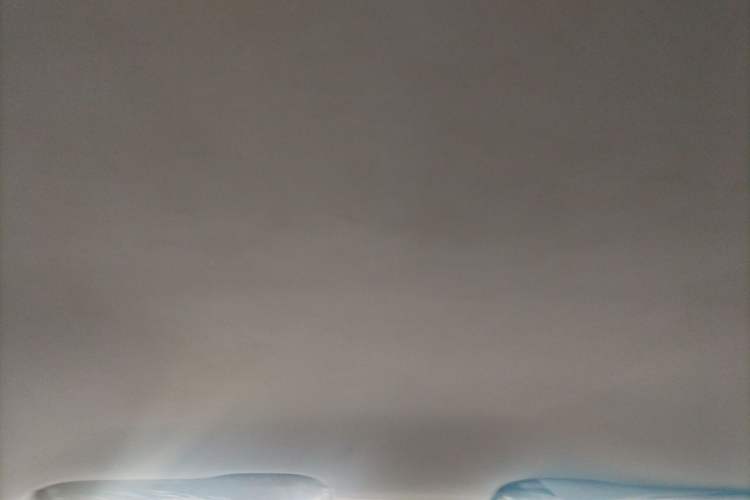 Used Volkswagen Bora 2019 Bora·Legend 1.5L Automatic Fashion Edition China V Standard Headliner