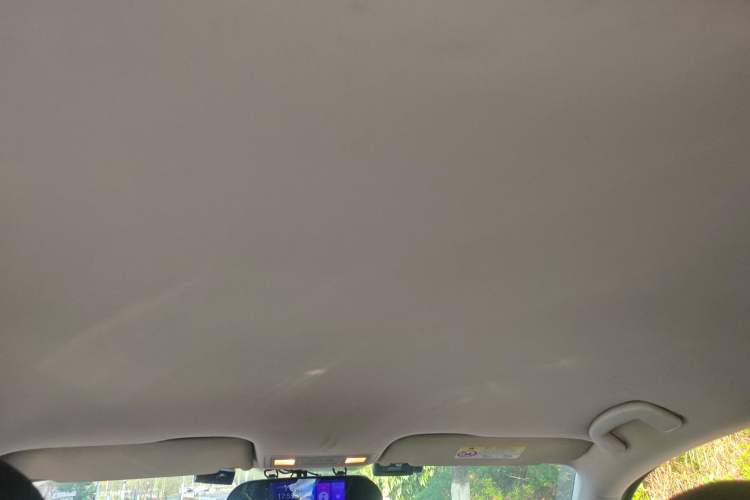 Used Volkswagen Bora 2019 Bora Legend 1.5L Manual Fashion Edition China VI Standard Headliner