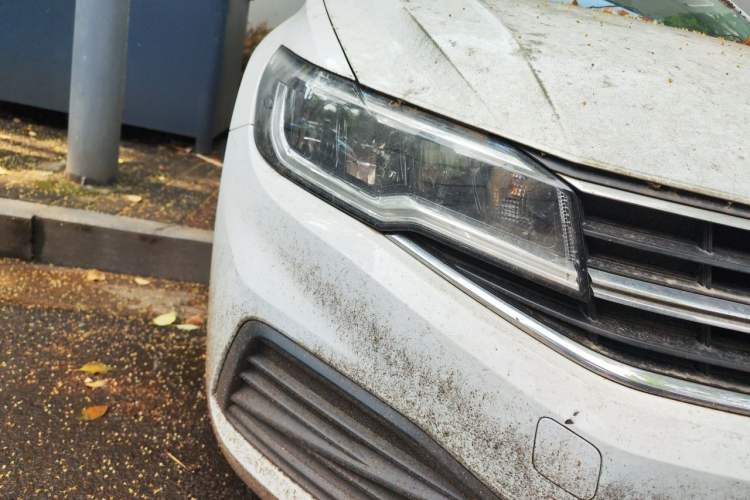 Used Volkswagen Bora 2019 Revised Version 1.5L Automatic Fashionable Style China VI Right Front Headlight