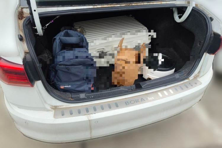 Used Volkswagen Bora 2019 1.5L Manual Fashion Edition Trunk