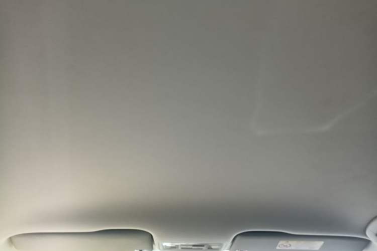 Used Volkswagen Bora 2019 Bora·Legend 1.5L Automatic Fashion Edition China V Standard Headliner