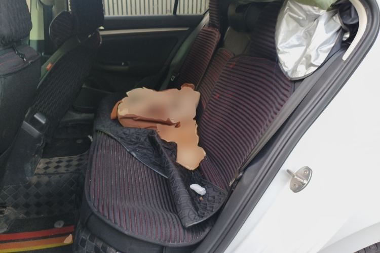 Used Volkswagen Bora 2020 1.5L Automatic Fashion Edition Left Rear Seat