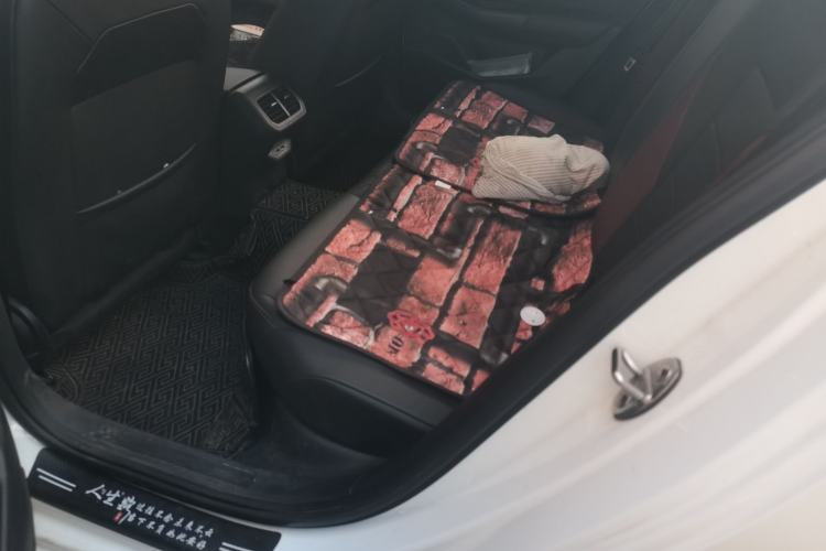 Used Volkswagen Bora 2020 1.5L Automatic Elite Version Left Rear Seat