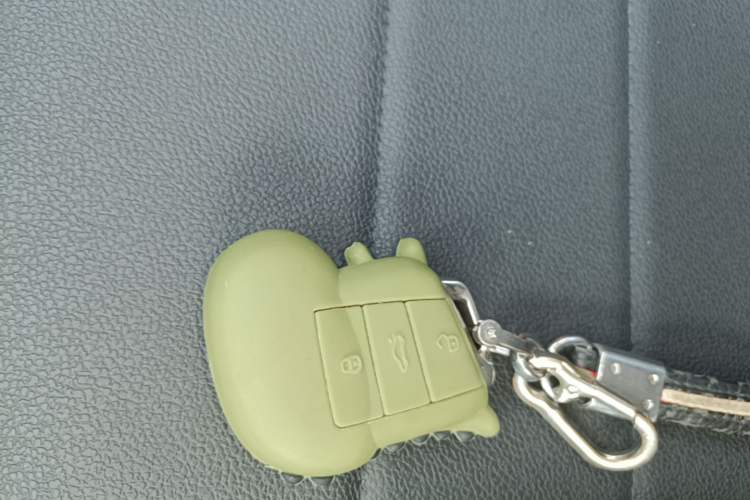 Used Volkswagen Bora 2021 1.5L Automatic Elite Smart Connect Edition Vehicle Key