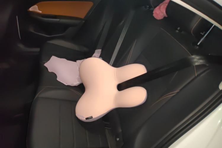 Used Volkswagen Bora 2023 200TSI DSG YueXing PRO Edition Left Rear Seat