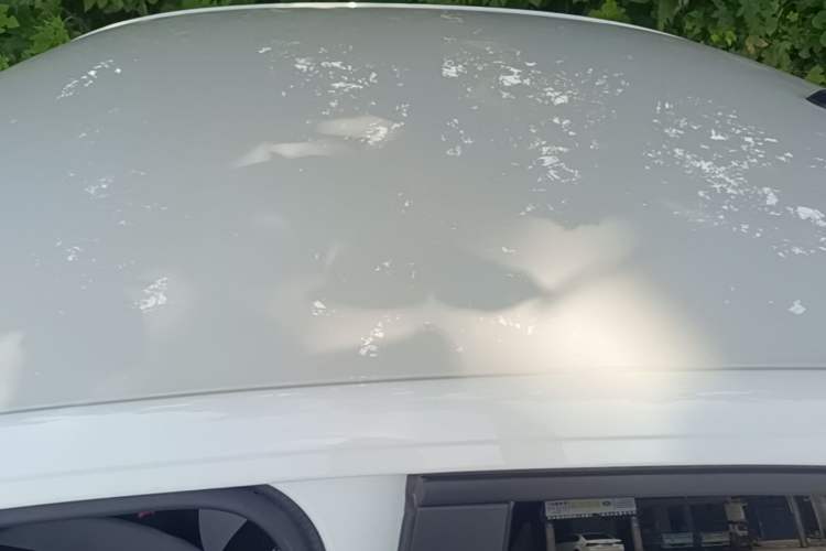 Used Volkswagen Bora 2024 200TSI DSG Comfort Edition Roof