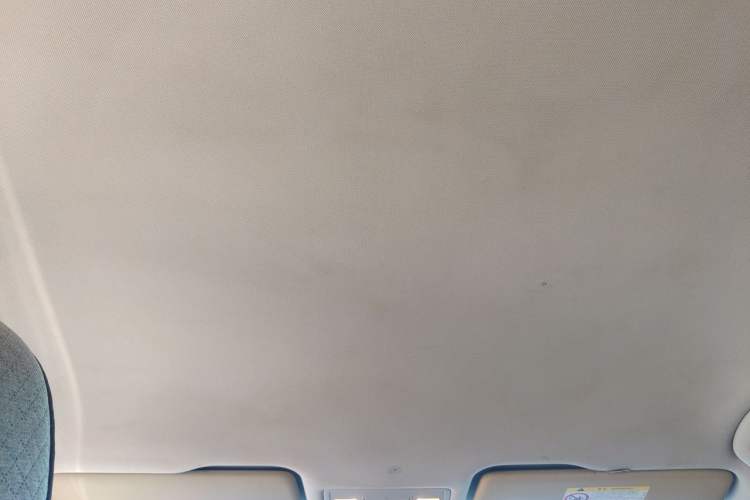 Used Volkswagen Bora Pure Electric 2020 Shan Model Headliner