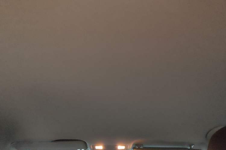 Used Volkswagen Bora Pure Electric 2020 Shan Model Headliner