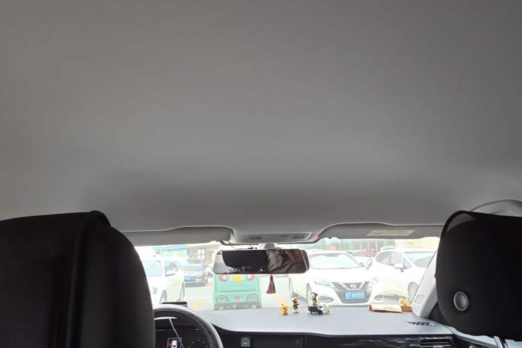 Used Volkswagen Bora Pure Electric 2020 Shan Model Headliner