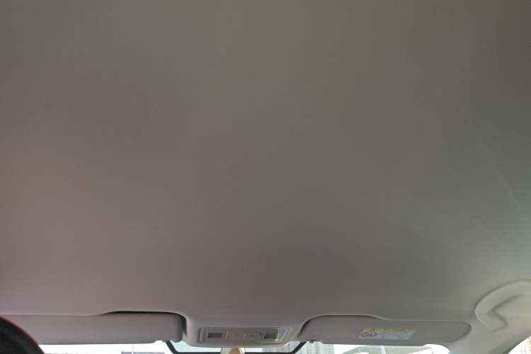 Used Volkswagen Bora Pure Electric 2020 Shan Model Headliner