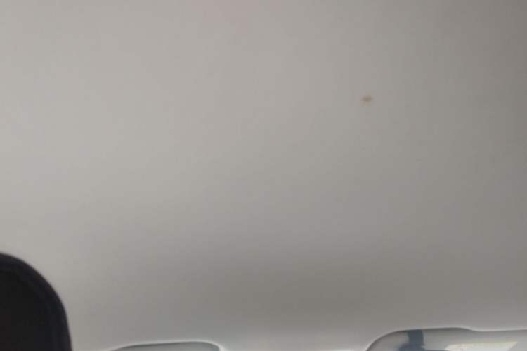 Used Volkswagen Bora Pure Electric 2020 Shan Model Headliner