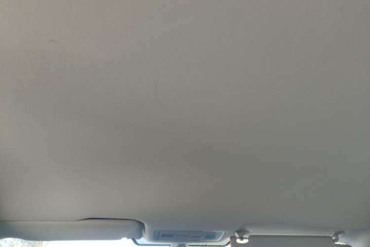 Used Volkswagen Bora Pure Electric 2020 Shan Model Headliner