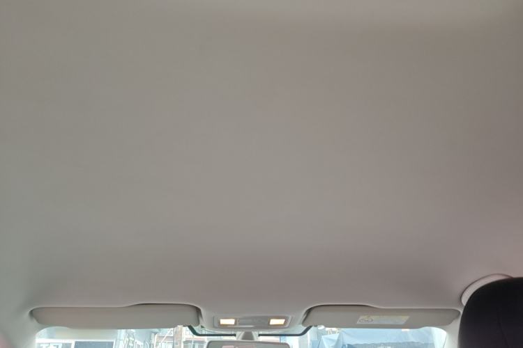 Used Volkswagen Bora Pure Electric 2020 Shan Model Headliner