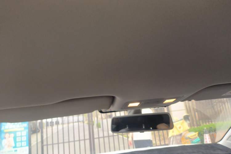Used Volkswagen Bora Pure Electric 2020 Shan Model Headliner