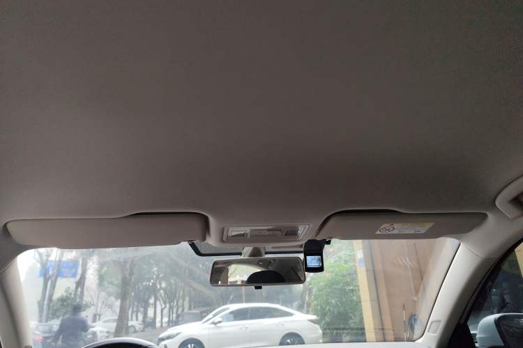 Used Volkswagen Bora Pure Electric 2020 Shan Model Headliner