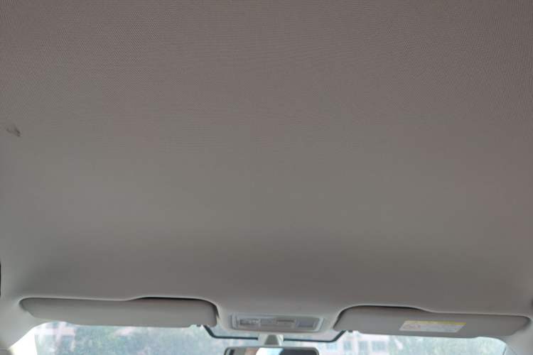 Used Volkswagen Bora Pure Electric 2020 Shan Model Headliner