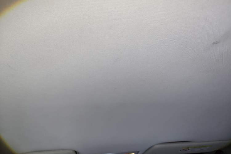 Used Volkswagen Bora Pure Electric 2020 Shan Model Headliner