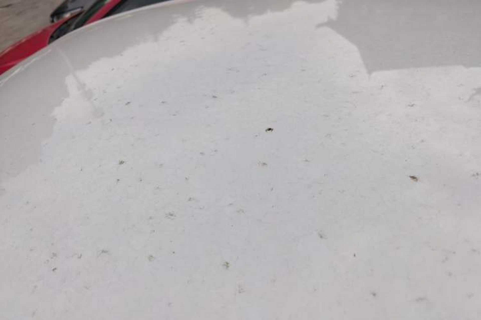 Used Volkswagen Bora Pure Electric 2020 Shan Model Roof