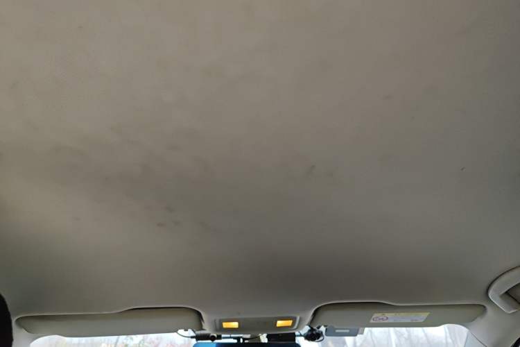 Used Volkswagen Bora Pure Electric 2021 Shang Model Headliner