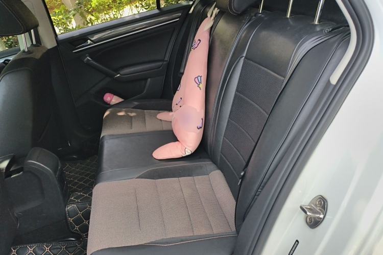Used Volkswagen C-TREK 2017 230TSI DSG Comfort Version Left Rear Seat