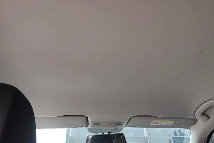 Used Volkswagen C-TREK 2018 1.5L Automatic Fashion Model Headliner