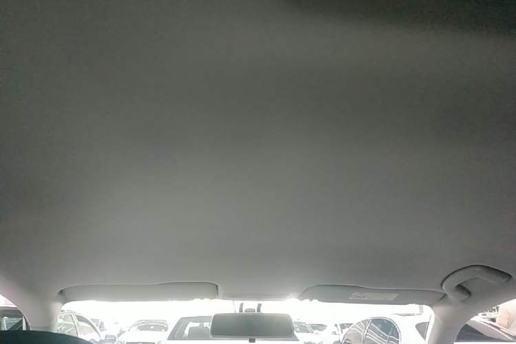 Used Volkswagen C-TREK 2018 1.5L Automatic Fashion Model Headliner