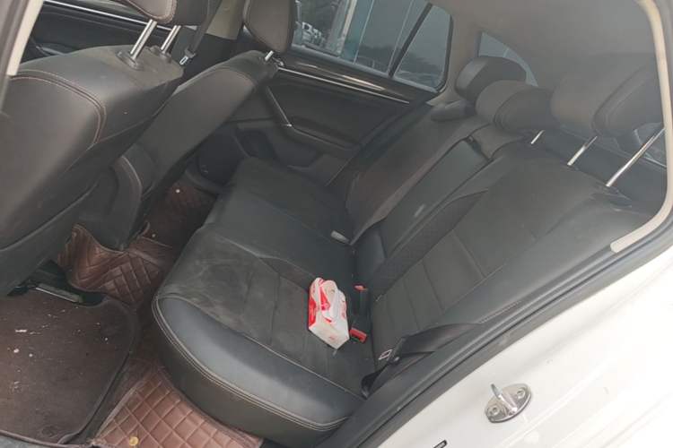 Used Volkswagen C-TREK 2018 230TSI DSG Luxury Version Left Rear Seat