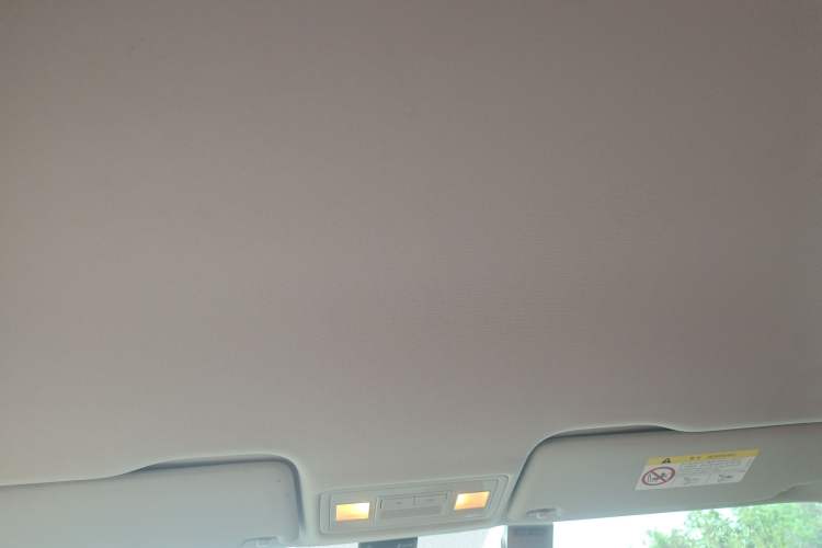 Used Volkswagen C-TREK 2020 1.5L Automatic Fashion Edition Headliner