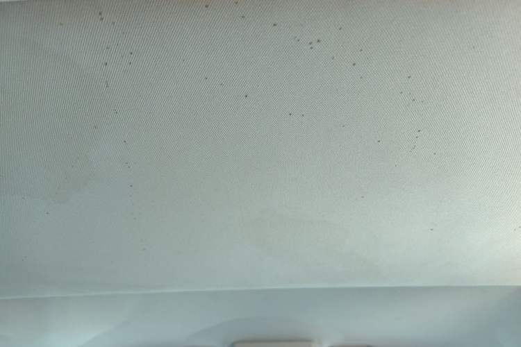 Used Volkswagen Caravelle 2015 2.0 TSI Four-Wheel Drive Comfort Edition Headliner