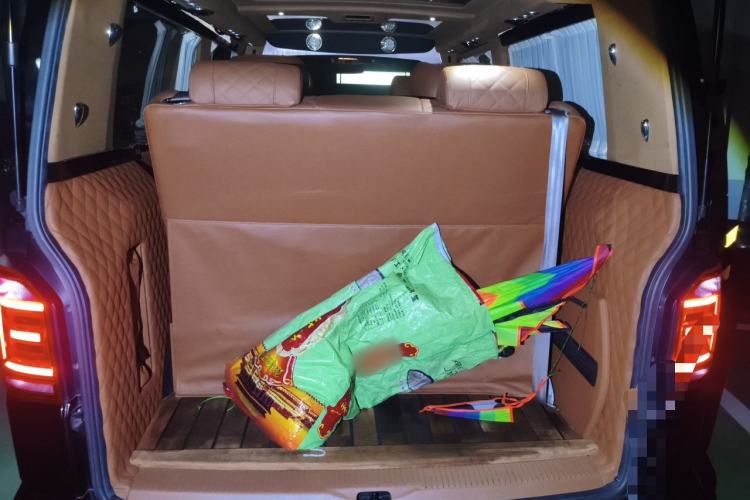 Used Volkswagen Caravelle  Trunk