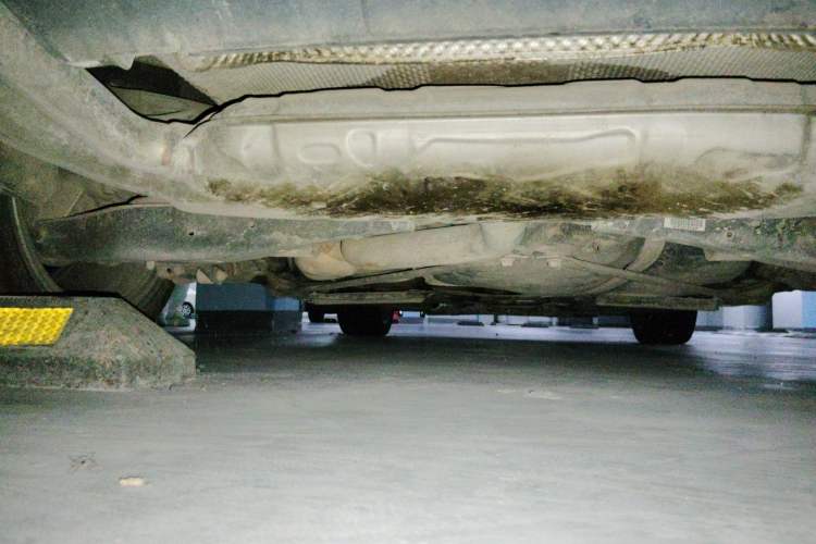 Used Volkswagen Eos 2011 2.0 TSI Chassis Rear