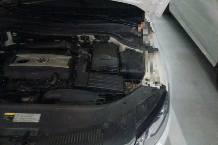 Used Volkswagen FAW-Volkswagen CC 2016 1.8TSI Luxury Model Engine Bay Left