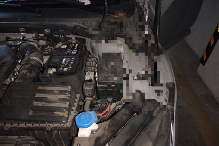 Used Volkswagen FAW-Volkswagen CC 2021 330TSI Ignite Edition Engine Bay Left