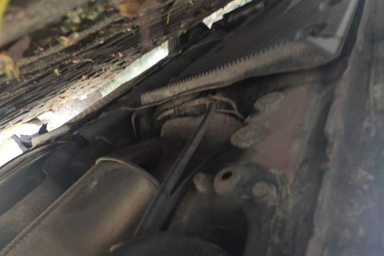Used Volkswagen Golf 2011 1.6L Automatic Comfort Model Chassis Rear Left