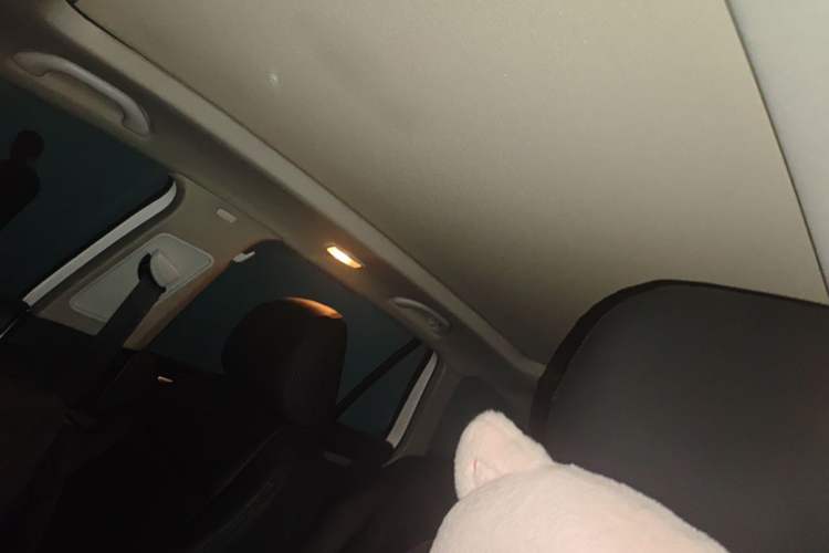 Used Volkswagen Golf 2011 1.4 TSI Comfort Travel Edition Headliner