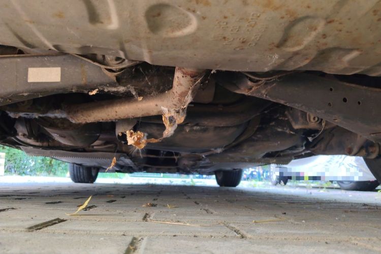 Used Volkswagen Golf 2012 1.6L Automatic Comfort Model Chassis Rear