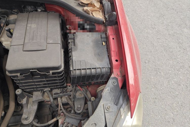 Used Volkswagen Golf 2012 1.6L Automatic Comfort Model Engine Bay Left