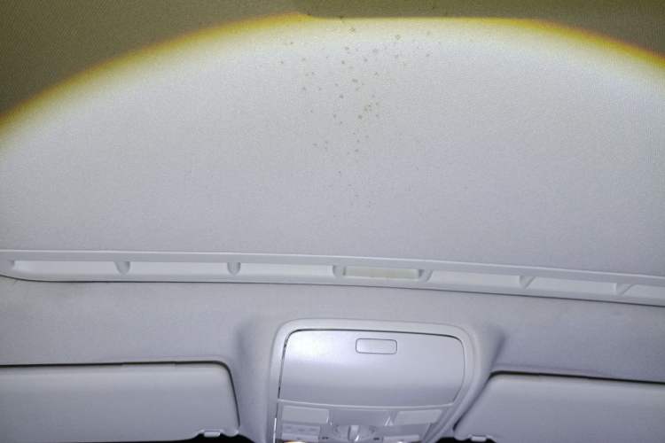 Used Volkswagen Golf 2012 1.4 TSI Automatic Comfort Edition Headliner