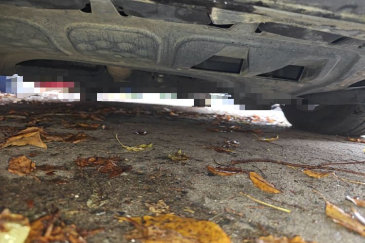Used Volkswagen Golf 2012 1.6L Automatic Fashion Model Chassis Front
