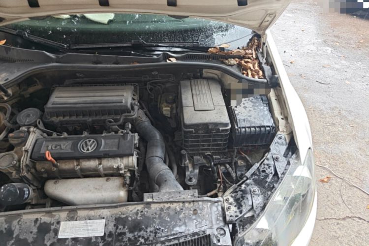 Used Volkswagen Golf 2012 1.6L Automatic Fashion Model Engine Bay Left