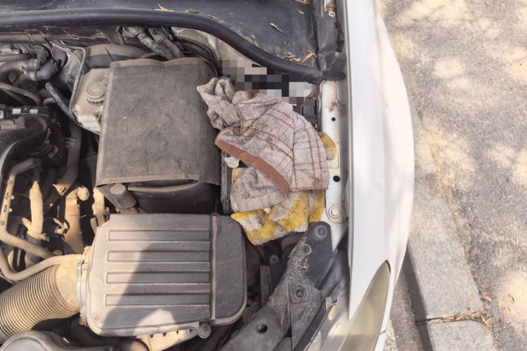 Used Volkswagen Golf 2012 1.4 TSI Manual Comfort Edition Engine Bay Left