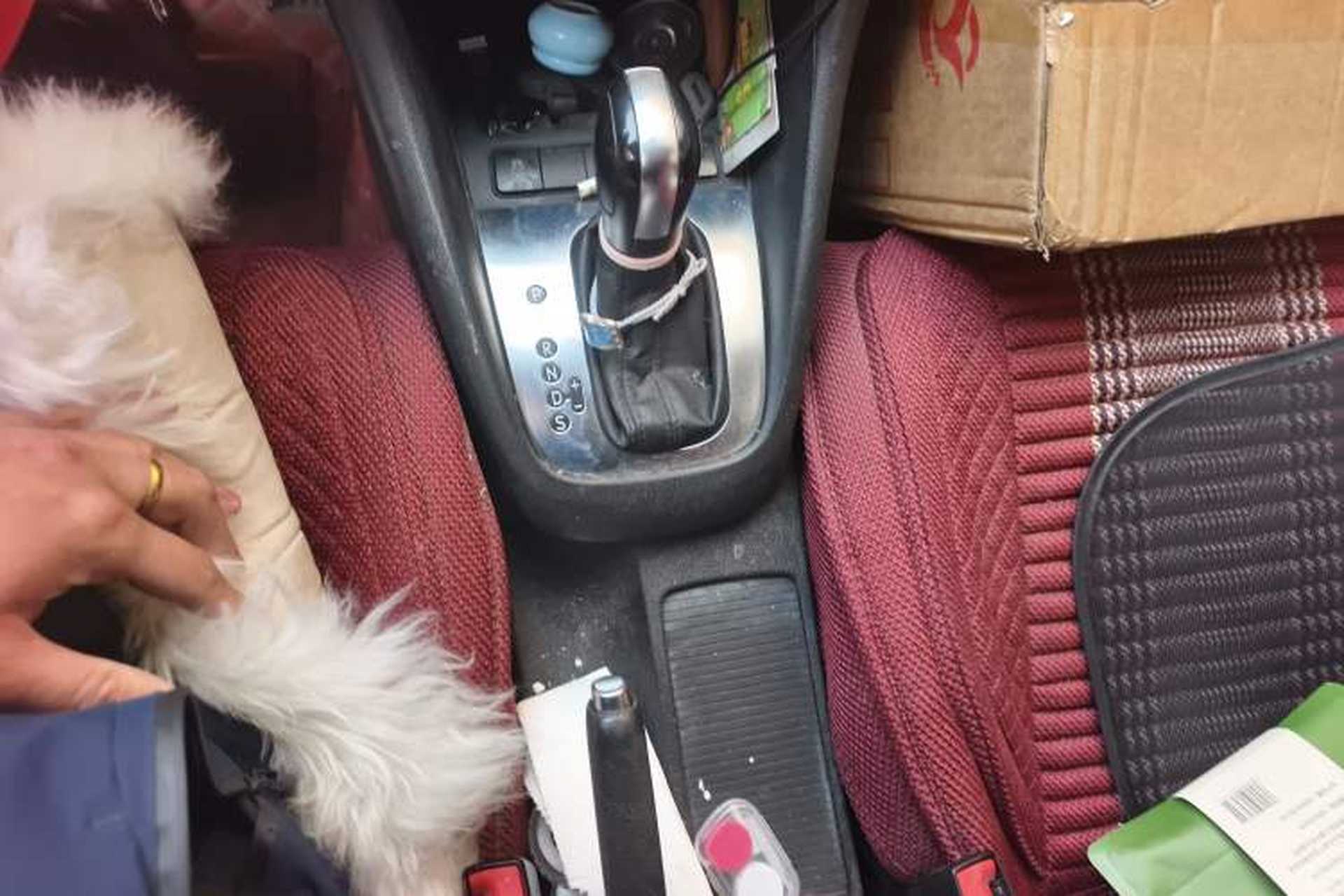 Used Volkswagen Golf 2012 1.6L Automatic Comfort Model Gear Lever
