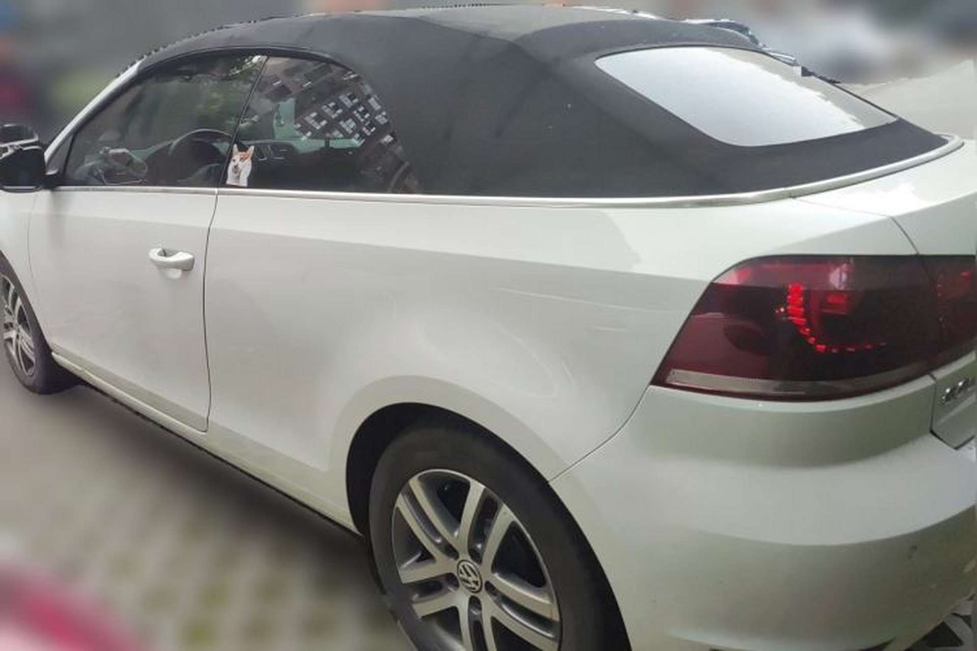 Used Volkswagen Golf 2012 1.4TSI Comfort Convertible Edition Rear Left 45 Deg