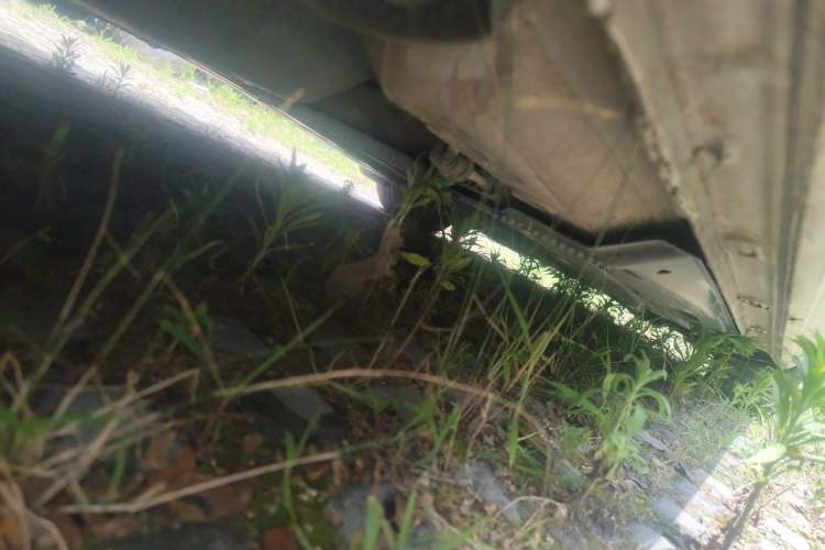 Used Volkswagen Golf 2015 1.6L Automatic Comfort Model Chassis Rear Right