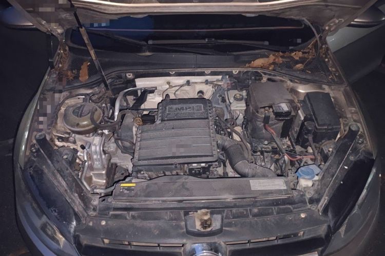 Used Volkswagen Golf 2015 1.6L Automatic Fashion Model Engine Bay