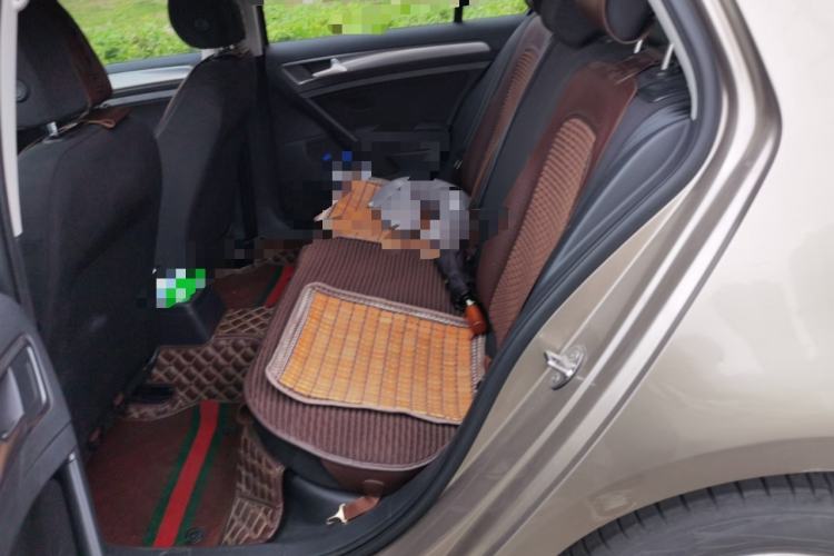 Used Volkswagen Golf 2015 1.6L Automatic Fashion Model Left Rear Seat