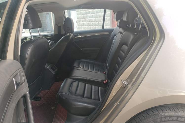 Used Volkswagen Golf 2016 230TSI Automatic Luxury Version Left Rear Seat
