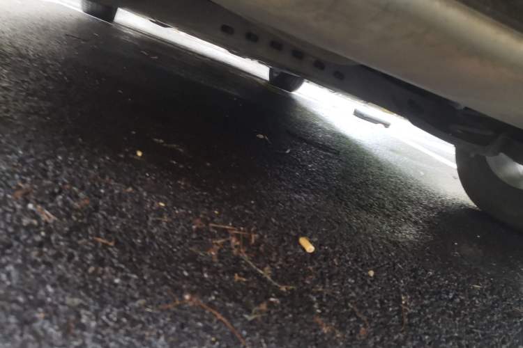 Used Volkswagen Golf 2016 1.4 TSI 25th Anniversary Edition Chassis Rear